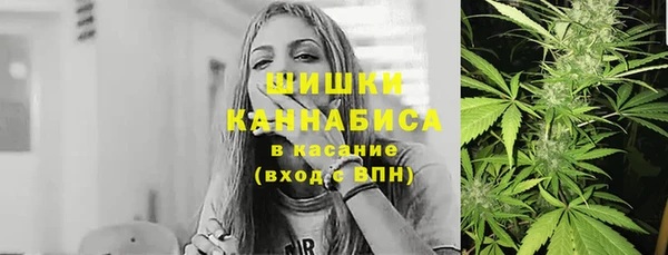 трава Корсаков