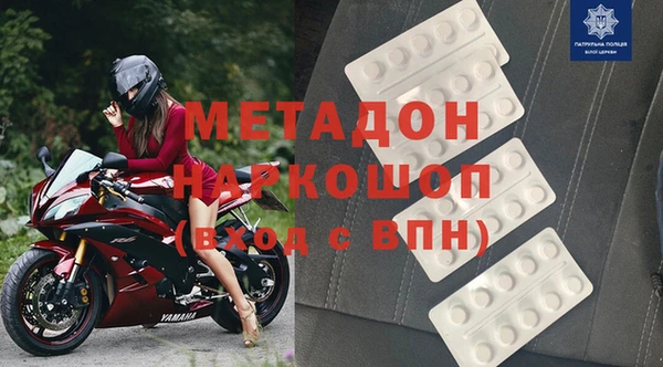 трава Корсаков