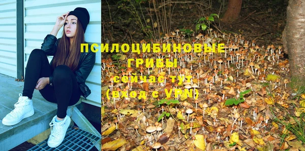 apvp Алексеевка