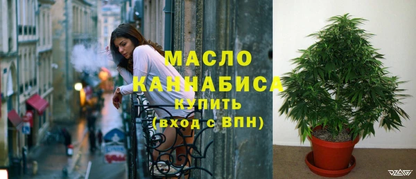 прущие грибы Абаза