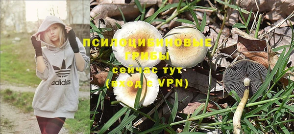 спиды Коряжма