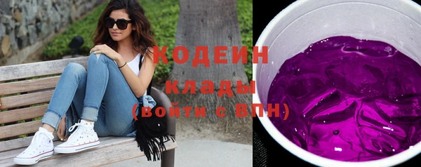 прущие грибы Абаза