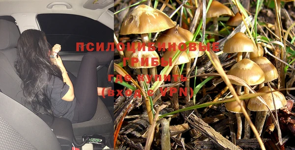каннабис Абдулино