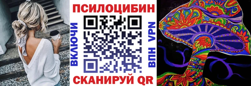 Псилоцибиновые грибы Psilocybe  Северодвинск 