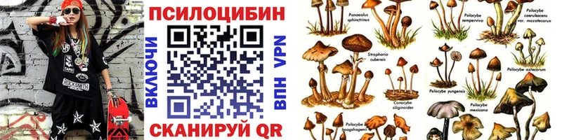 Псилоцибиновые грибы Psilocybe Северодвинск